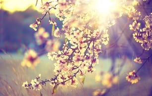 Spring Marketing Ideas