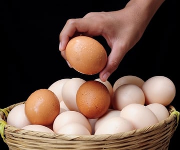 Don't put all your marketing eggs in one basket